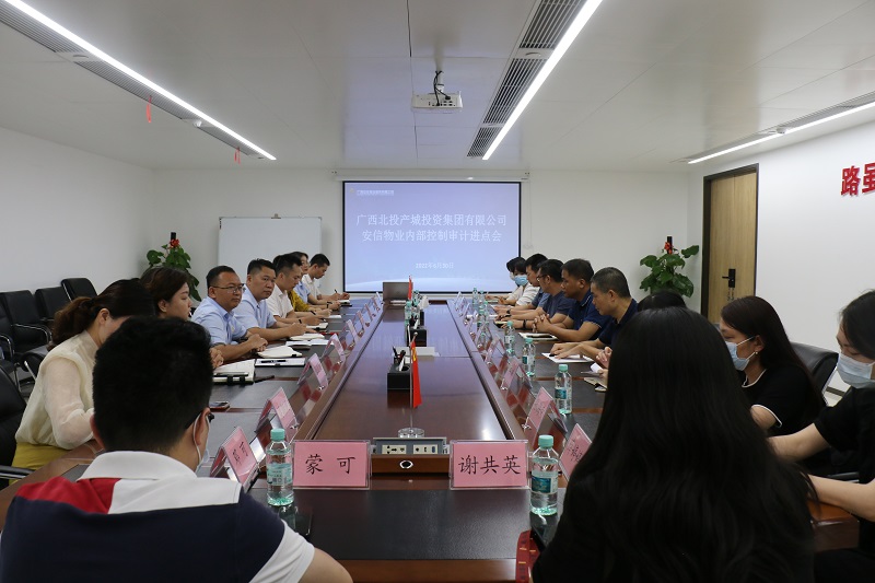 银娱优越会(中国游)股份有限公司